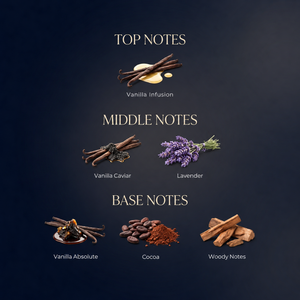 Vanille Manifesto — fragrance notes