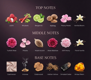 Rosé Absolu