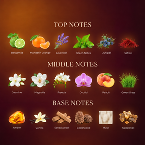 Amber Elixer — fragrance notes