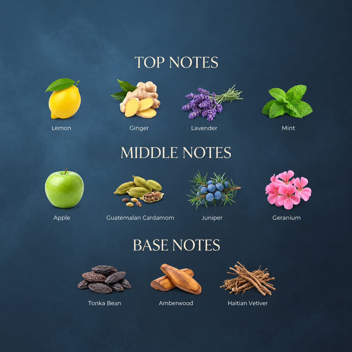 Apex Tonic — fragrance notes