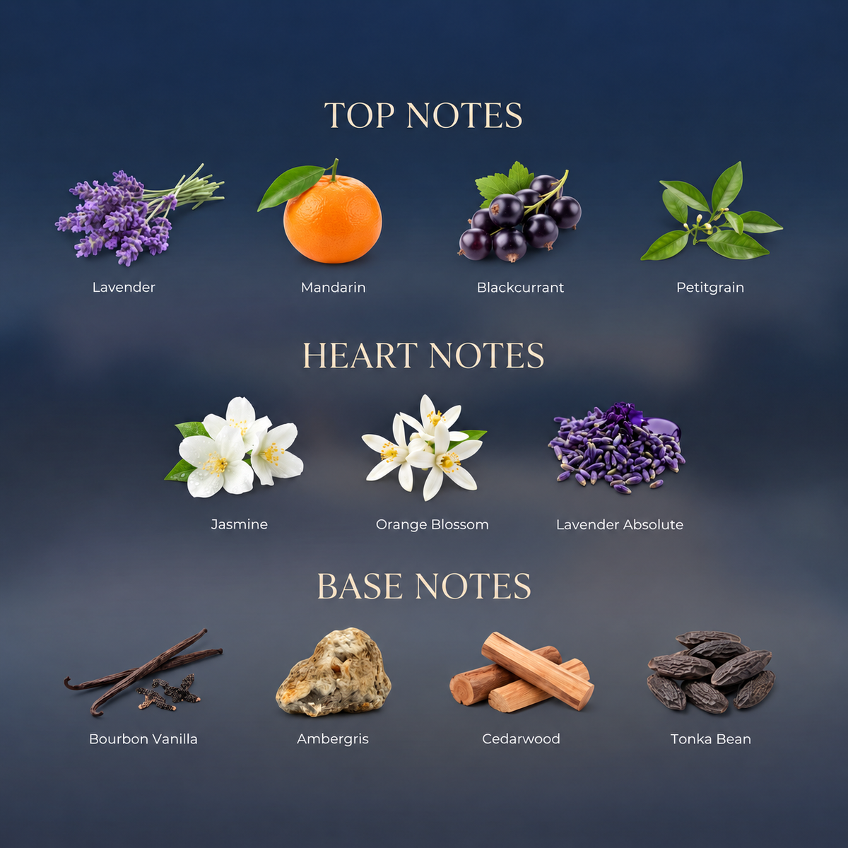 Fluid Muse fragrance notes