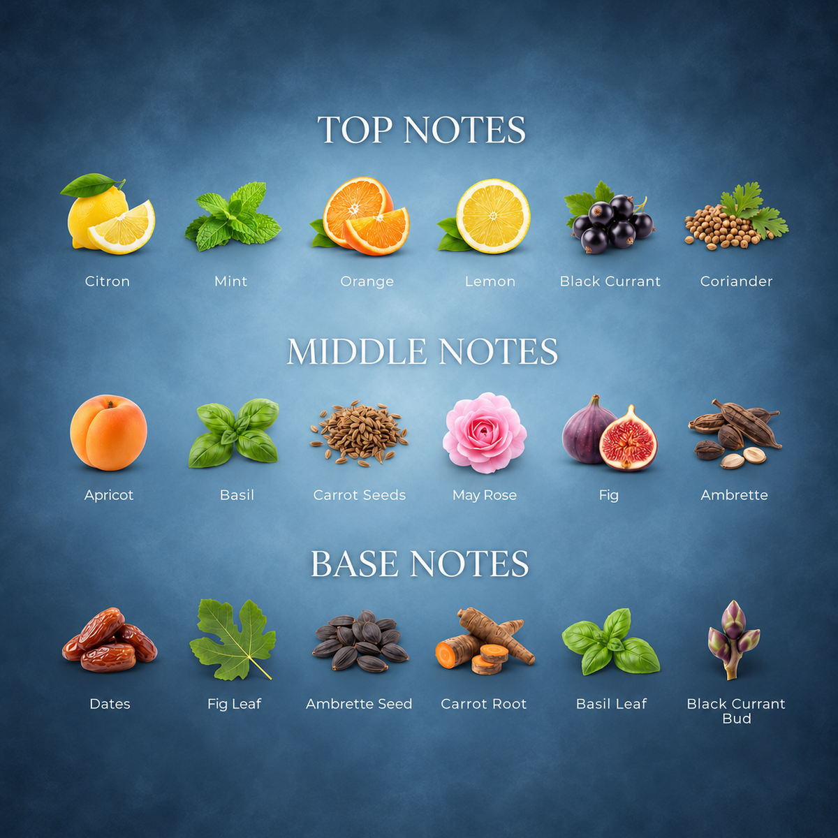 Frozen Zest — fragrance notes