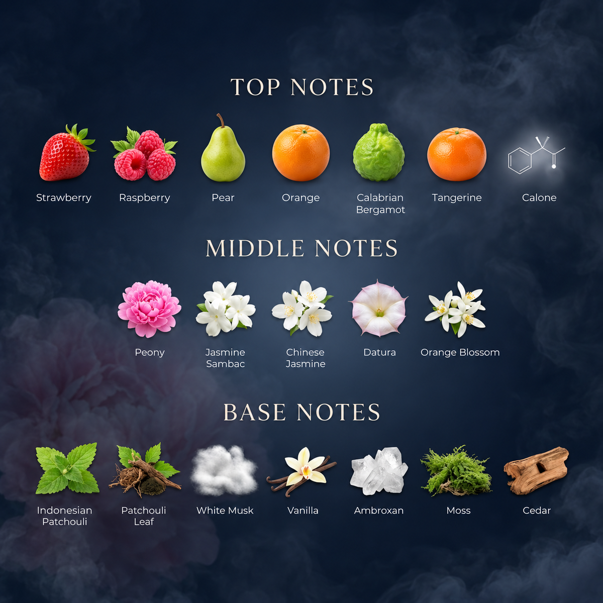 Pardon My Heart — fragrance notes