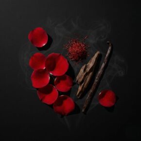 Footer collage img 1