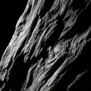 Footer collage img 2