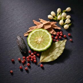 Footer collage img 5